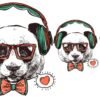 Cara-oso-hipster-varios-tamaños Oso hipster con gafas